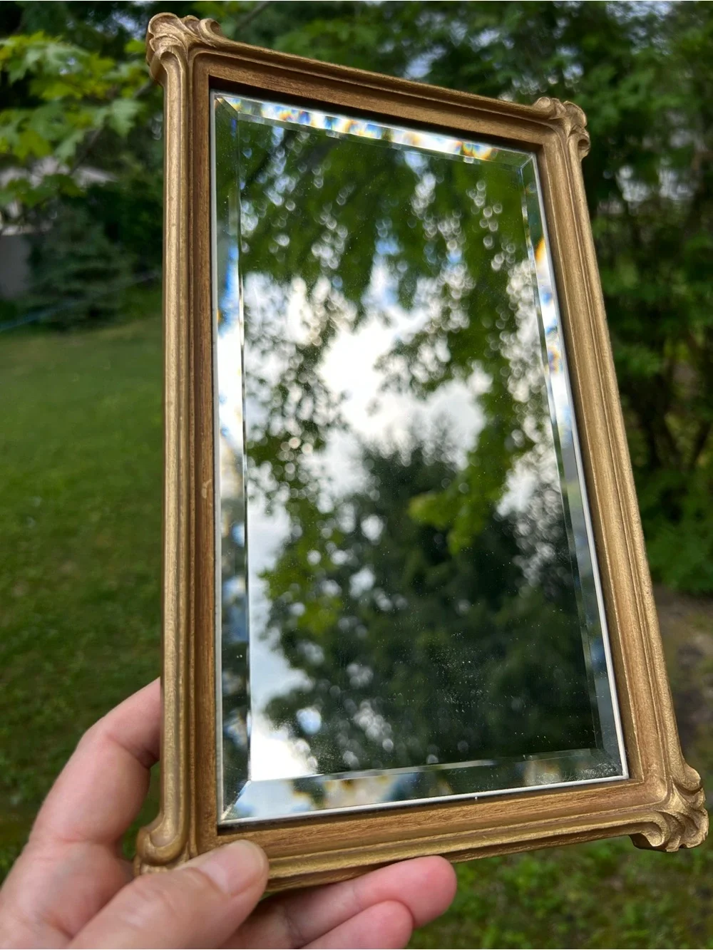 Vintage Mirror Framed Gold Rectangle Gallery Wall French Country Grandma 11x7